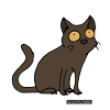 Cat - Burma