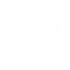 Evolution Basketball T-Shirt