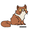 Cat persian