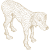 Hund