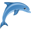 Blue Cute Dolphin