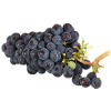Tasty grapes
