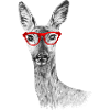 Rogen