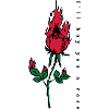 Burning Rose Print