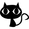 Black cat