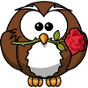 little owl with rose