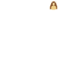 Prévision de marmotte de poche