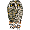 Tired owl needs sleep