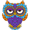 colorful owl in mandala - optics