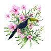 bird and gumamela