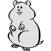 Hamster