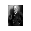 Sigmund Freud MEME