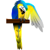 Parrot