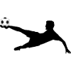 Fußball / Fallrückzieher