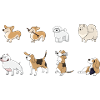 Hunde witzig