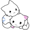 cat, kitten, cute
