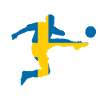 Swedish footballers