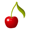 Delicious cherries motif!