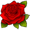 Trendy Rose motif!