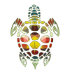 Turtle Geometric