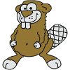beaver