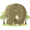 elefant