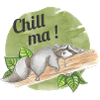 Chill ma - schlafender Waschbär