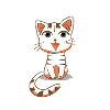 chat blanc