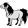 Pony