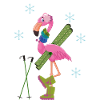 Winter Flamingo Ski