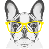 French Bulldog Yellow Glasses