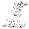 white deer