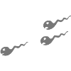 spermatozoide