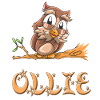 Owl Ollie