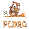 Owl Pedro