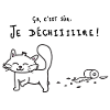 Chat qui déchire