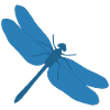 Libelle - Dragonfly