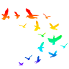 Flock of birds birds rainbow