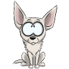 I am Chihuahua - White