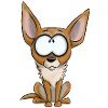 I am Chihuahua - white fawn