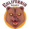 evil bear with bright eyes