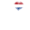 I Love hjemland flag rødder Holland