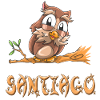 Owl Santiago