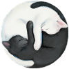Yin Yang Balancing Cats