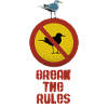 BREAK THE RULES