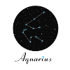 Aquarius Aquarius