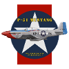 P-51 Sunny VIII