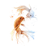 Sternzeichen Fische
