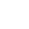 Established in January 1979