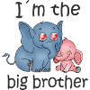 I'm the Big Brother B